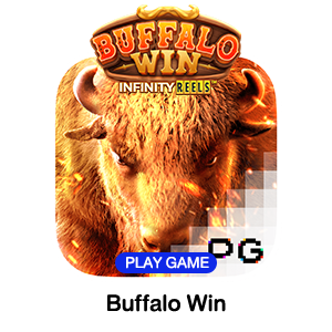 Buffalo-Win.webp